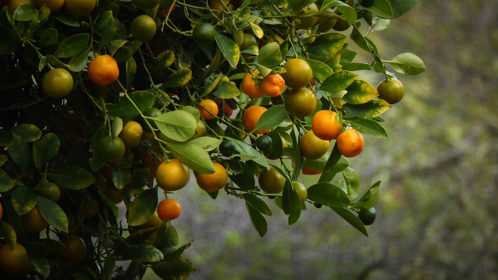 CA88(中国区)唯一官方网站