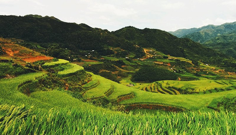 CA88(中国区)唯一官方网站